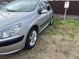  Peugeot 307 2005 , 310000 , ٸ