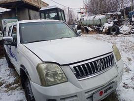  Tianye Tianye 2006 , 150000 , 