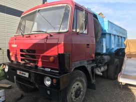  Tatra T815 1988 , 480000 , 