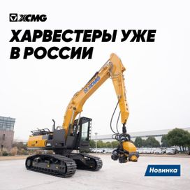  XCMG XE245F 2023 , 36233000 , -