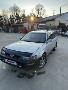  Corolla 1999