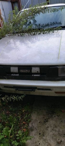  3  Isuzu Gemini 1988 , 90000 , 