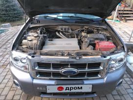 SUV   Ford Escape 2008 , 1500000 , 