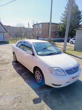  Toyota Corolla 2003 , 555000 , 