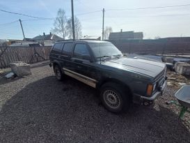 SUV   Chevrolet Blazer S-10 1993 , 150000 , 